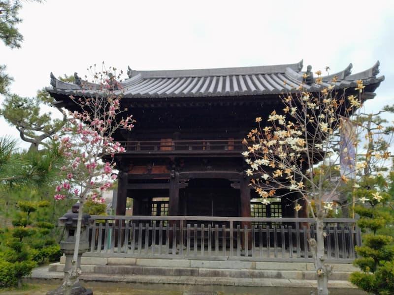 １６４７年創建、国指定重要文化財の甘露門（山門）