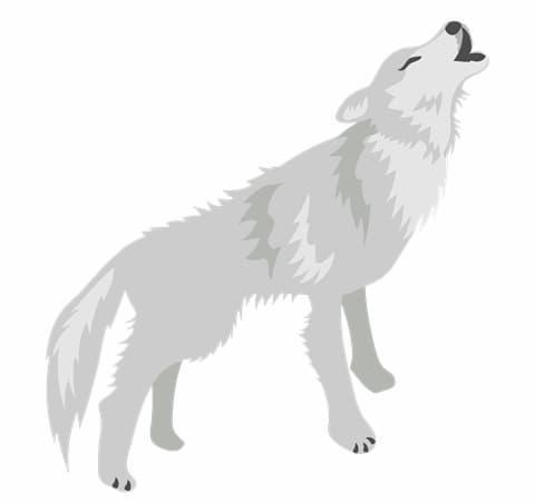 狼のイラスト
