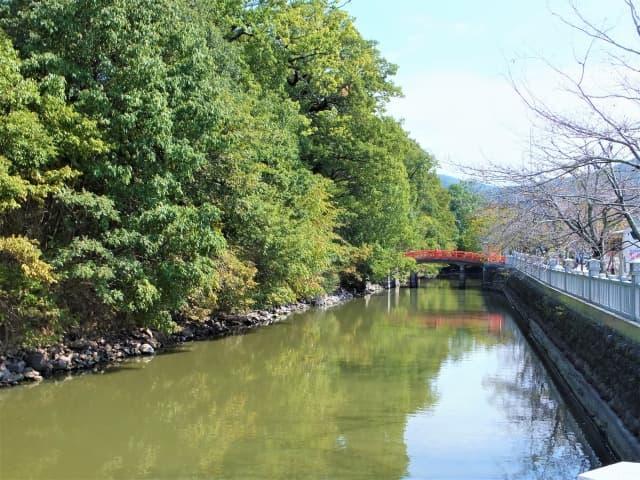 躑躅ヶ崎館跡の水堀