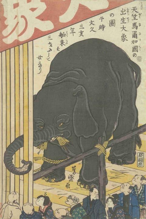 象の見世物を描いたもの（歌川芳盛画。出典：東京都立図書館デジタルアーカイブ）