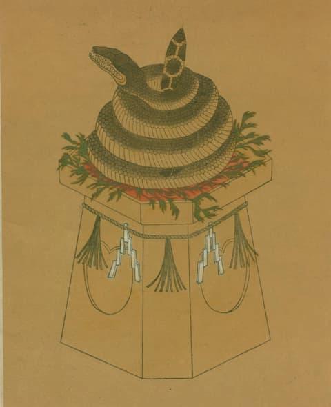 出雲大社の龍蛇神(『大社龍蛇神』より。出典:国立国会図書館デジタルコレクション)