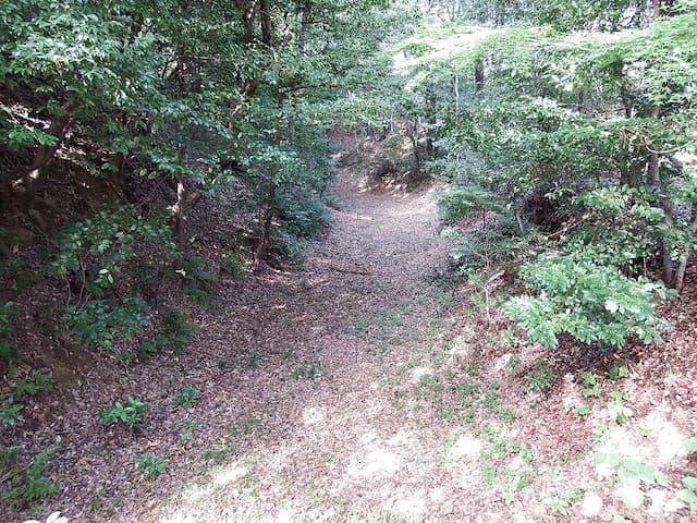 岩崎城の空堀（出典：Wikimedia Commons、写真：Bariston）