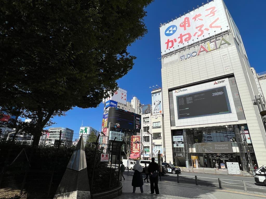 2022年11月に撮影したアルタ全景