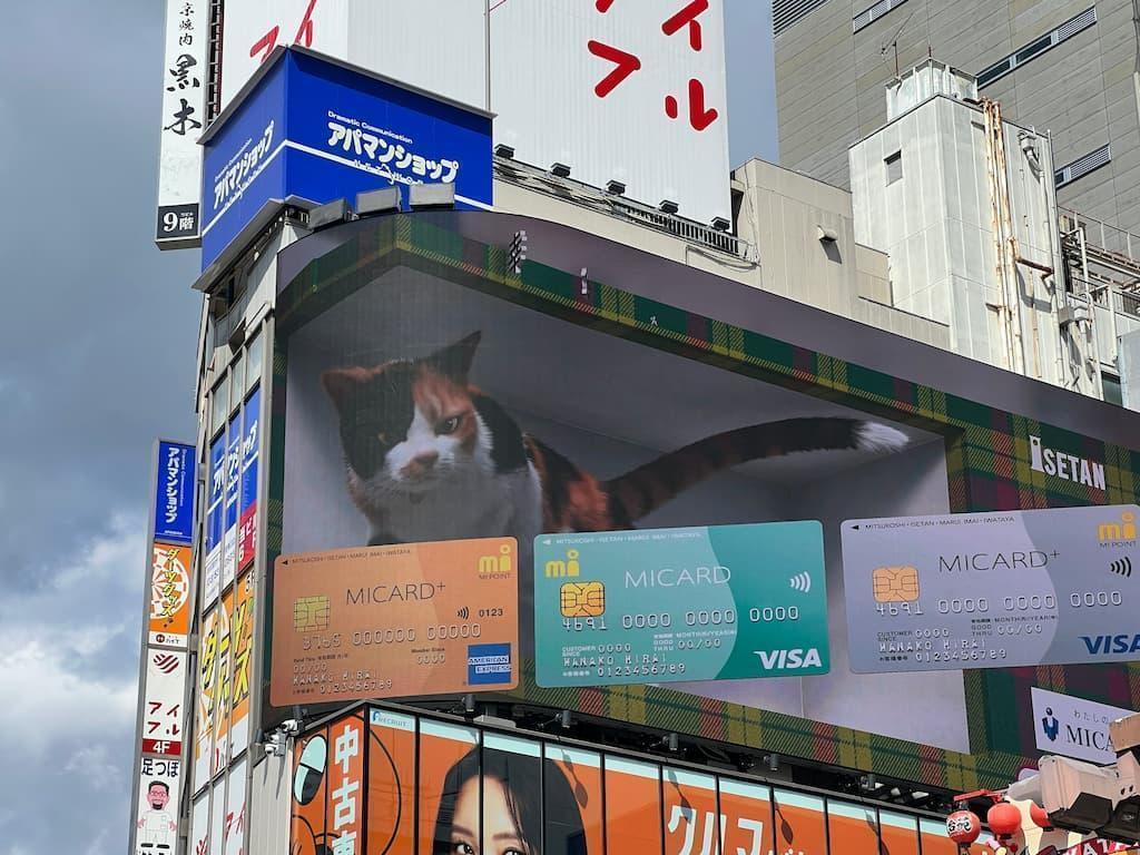 クロス新宿ビジョンに映る「新宿東口の猫」