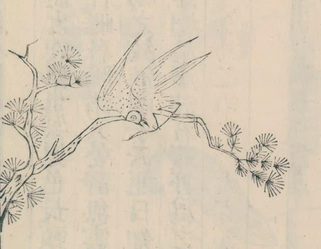 『三才図会』に描かれた鴆（出典：国立国会図書館デジタルコレクション）