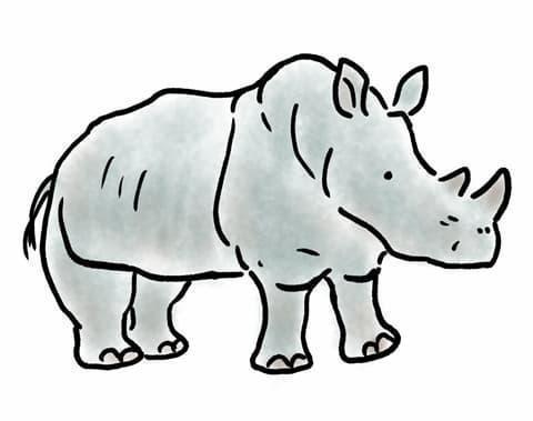 犀のイラスト