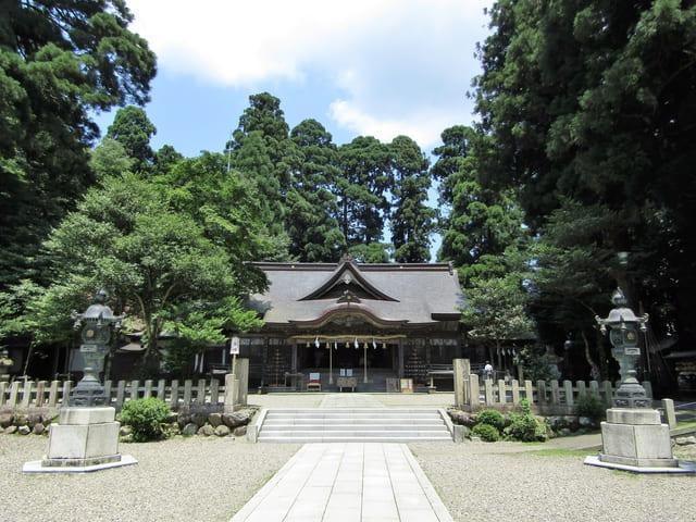 【家系図】信長のルーツが平氏というのは真っ赤なウソ！？