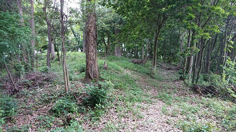 【解説：信長の戦い】堂洞合戦（１５６５、岐阜県加茂郡富加町）　織田軍、加治田衆とともに堂洞城の岸一族を撃破！