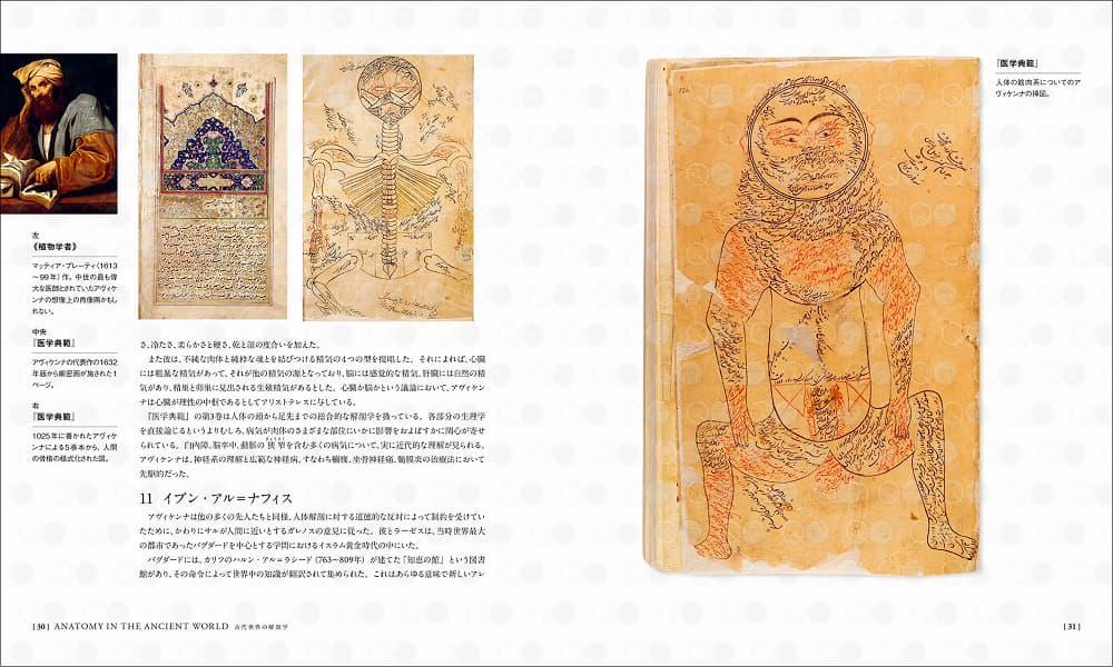 右「医学典範」人体の筋肉系についてのアヴィケンナ挿図（古代世界の解剖学　紀元前3000年～紀元後1300年）