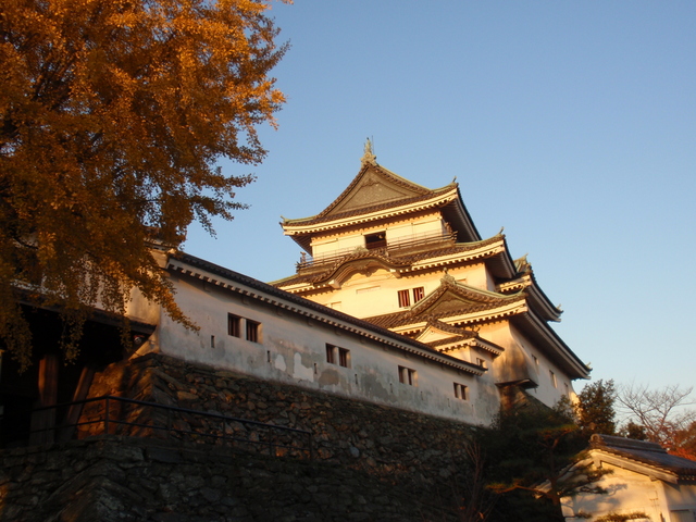 徳川御三家の一つ、紀州徳川家が入った城の名は？